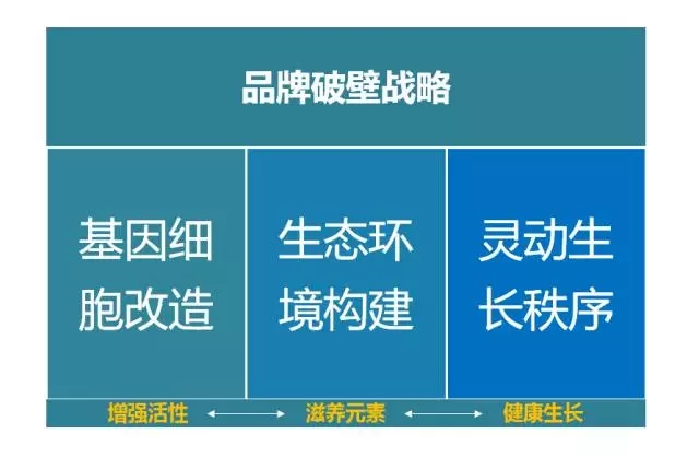 品牌升級必看的四大策略！