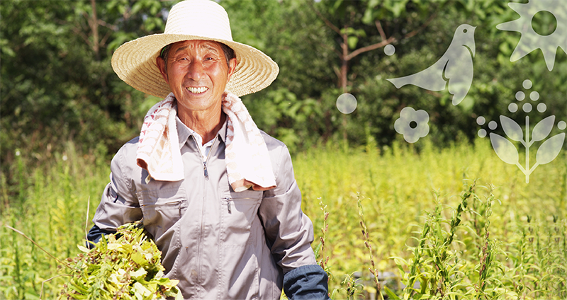 品牌形象vi設(shè)計(jì)公司是怎么進(jìn)行食品品牌形象設(shè)計(jì)的？