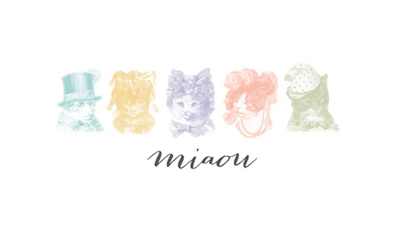 杭州寵物玩具包裝設計公司,貓玩具包裝設計,貓用品包裝設計公司