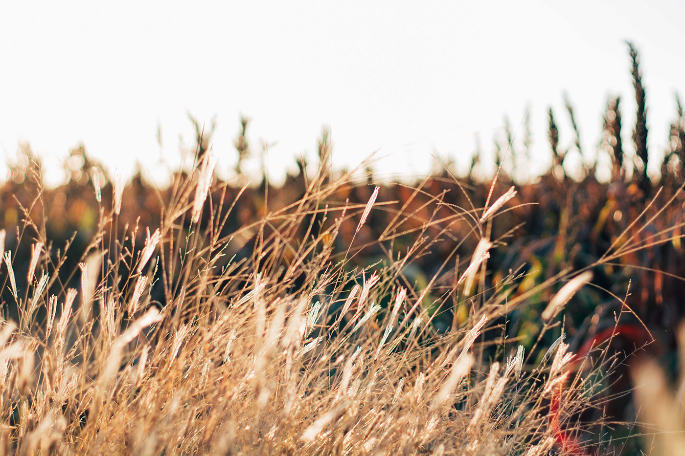 生態(tài)環(huán)境