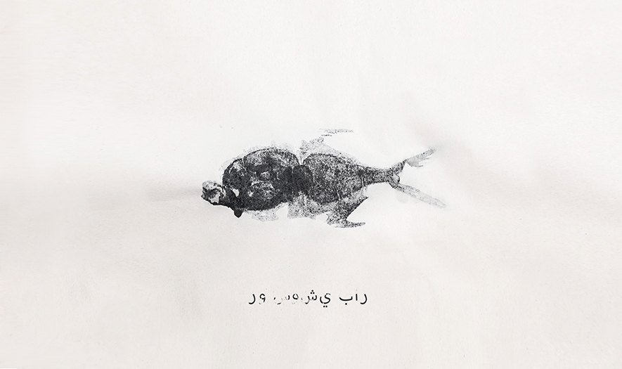 好吃的餐飲食品—創(chuàng)意壽司品牌包裝設(shè)計(jì)