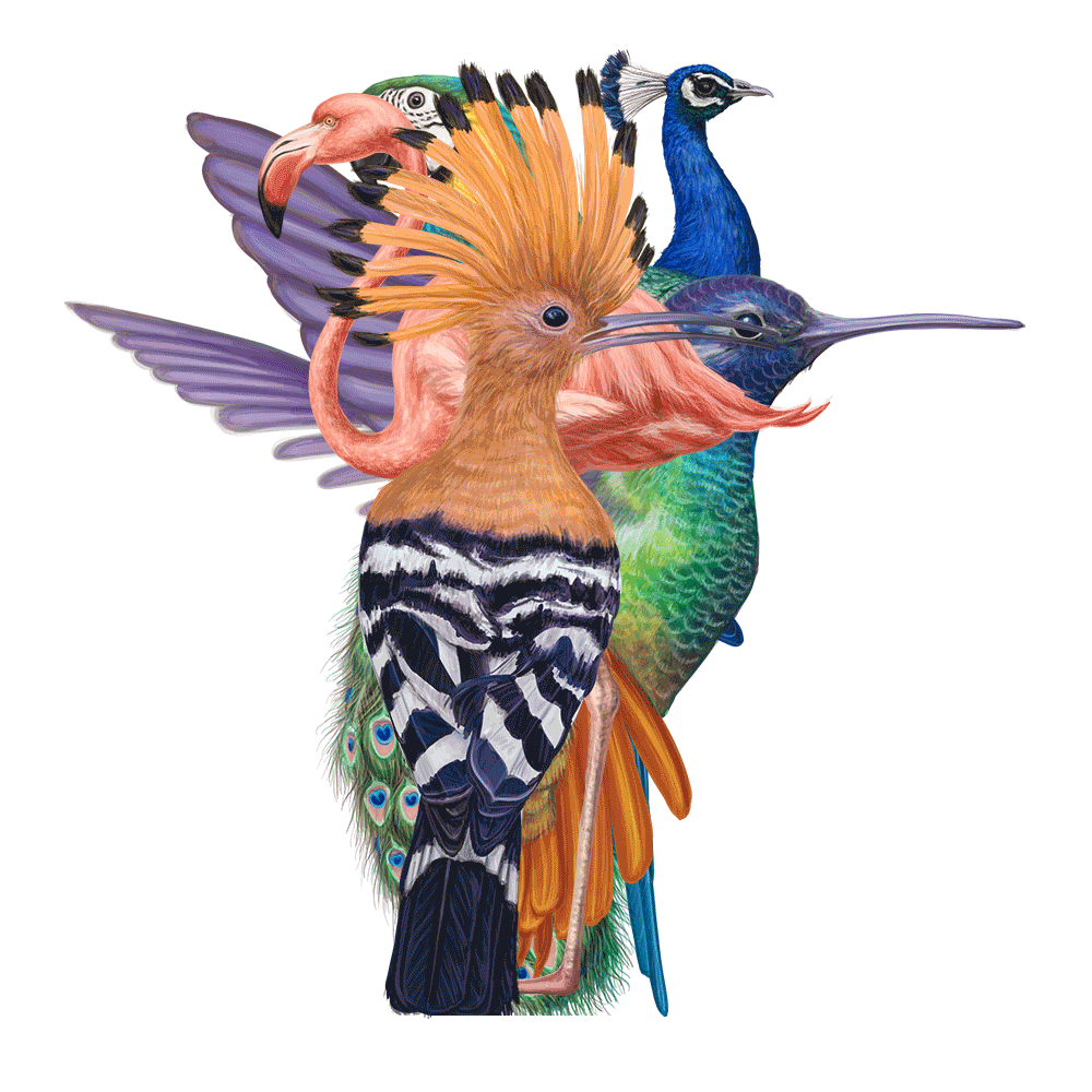 自然界野生動物來體現化妝品的純天然—護膚品包裝設計